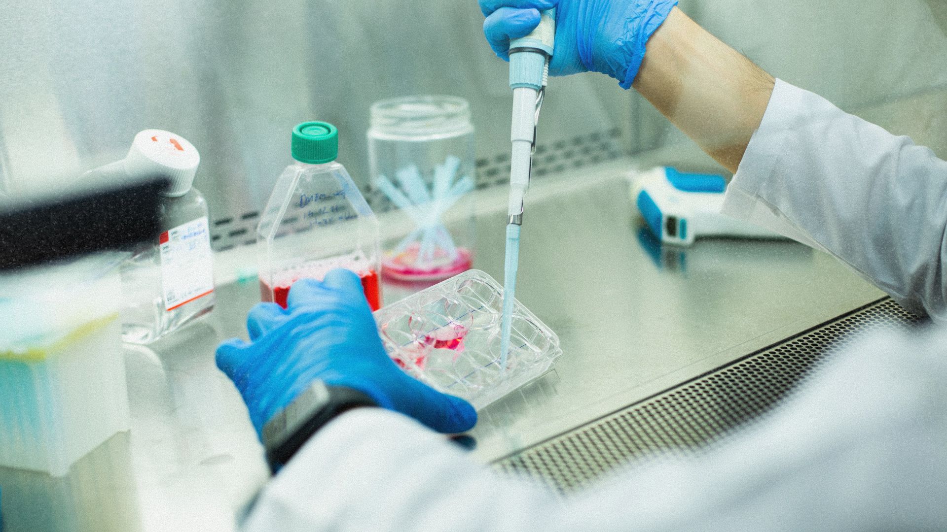 Células vivas no laboratório